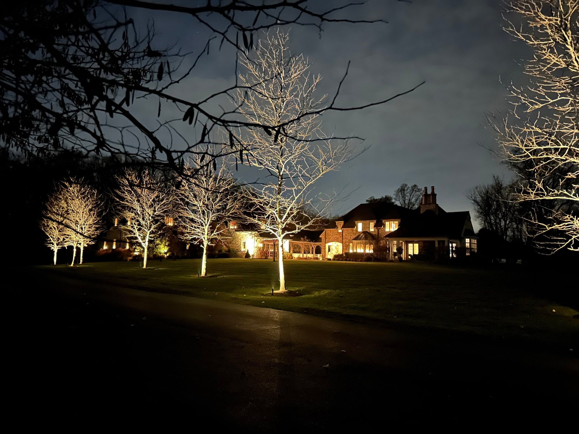 Estate lawn with warm tree uplighting after dark — landscape lighting serving Newtown Square, PA